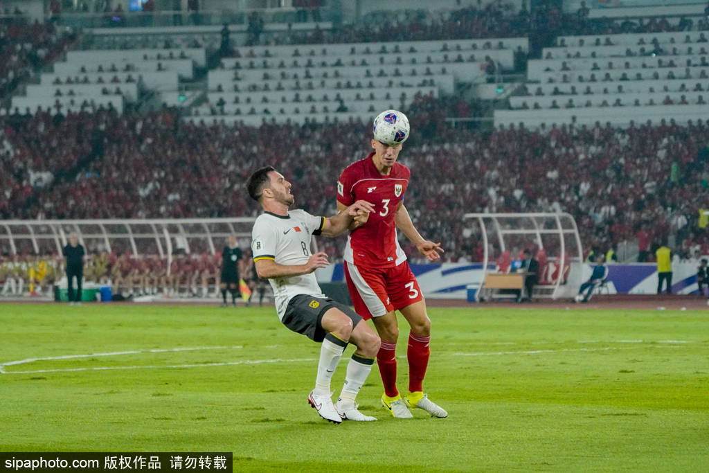 体育赛场上的精彩表现，让球迷们沸腾不已的简单介绍