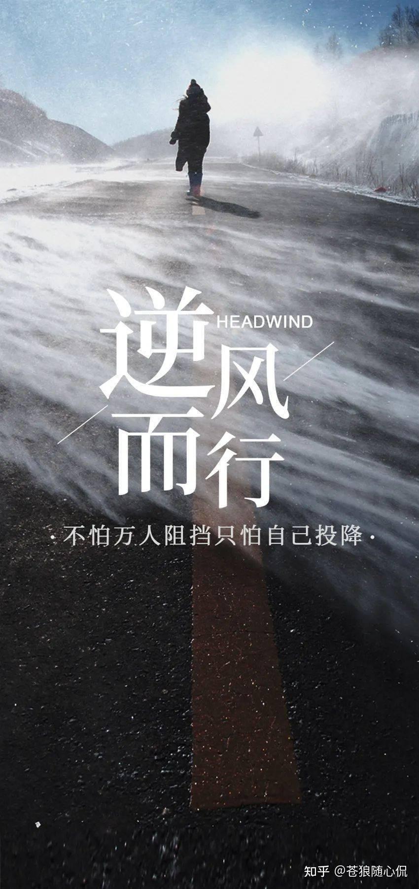 开云APP-辽宁取得背水一战，成功力挽狂澜的简单介绍