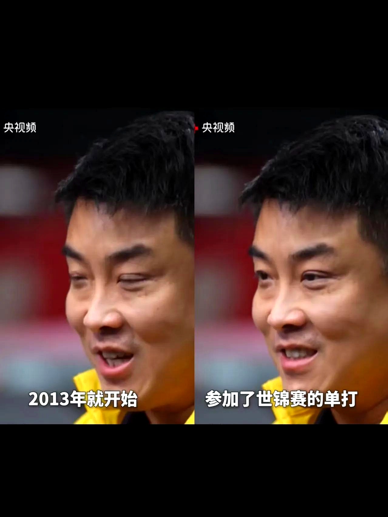 日本乒乓球队绝地反击德国乒乓球队，王皓关键制胜的简单介绍