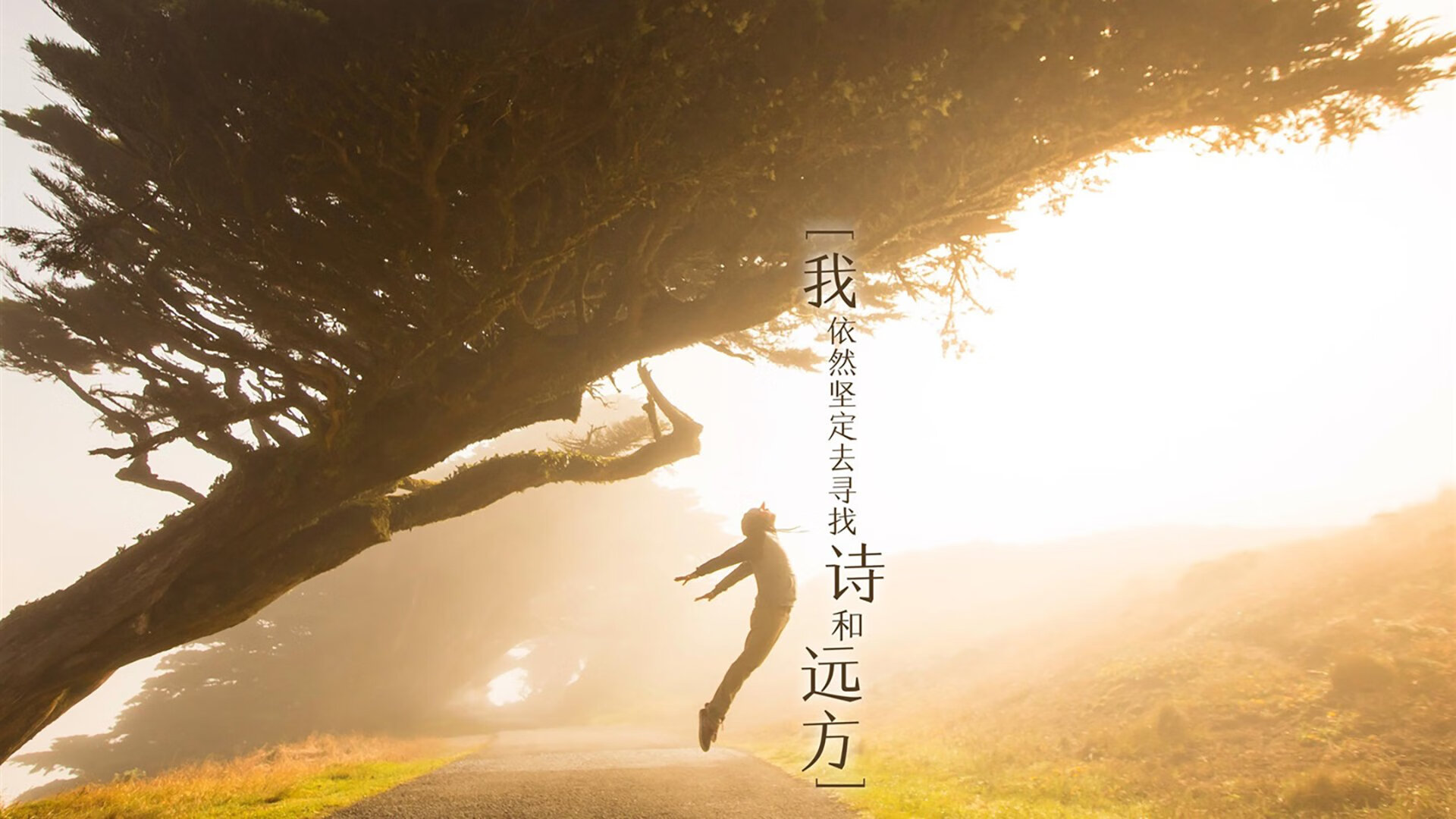 南非征服巴黎，苏亚雷斯欧冠决赛的统治力演绎