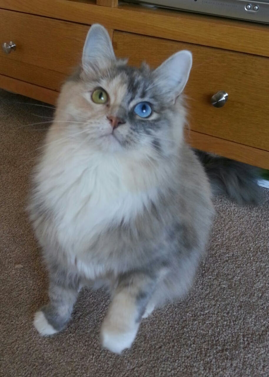 开云体育中国-防守史诗，从伦纳德的绝望之手到天山脚下的窒息铁阵