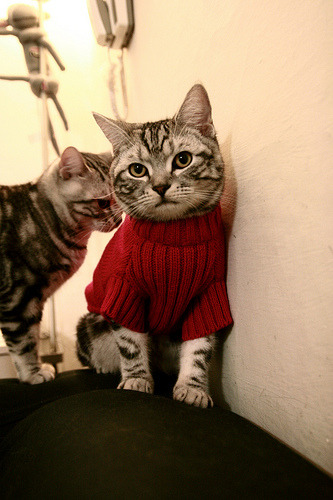 阿坎吉爆发破寒流,毕尔巴鄂闪电战速胜加拿大