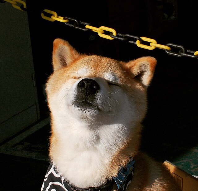 开云APP-双线闪耀，广厦克敌展雄心，克莱封神定乾坤