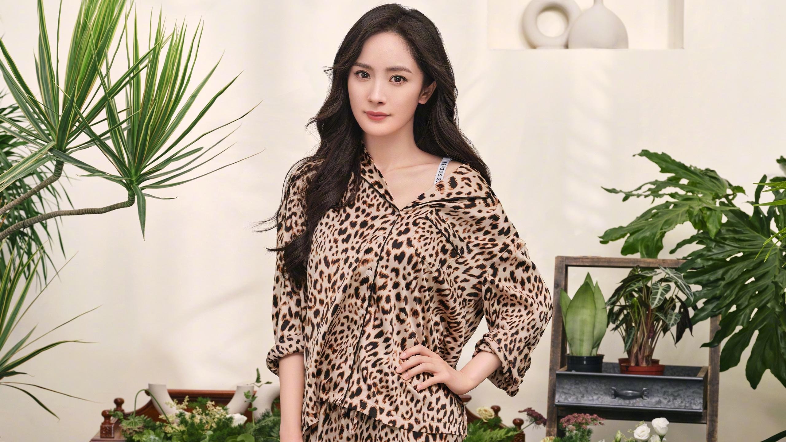 伊朗钢铁洪流窒息韩国，基米希式指挥官撕裂太极虎防线