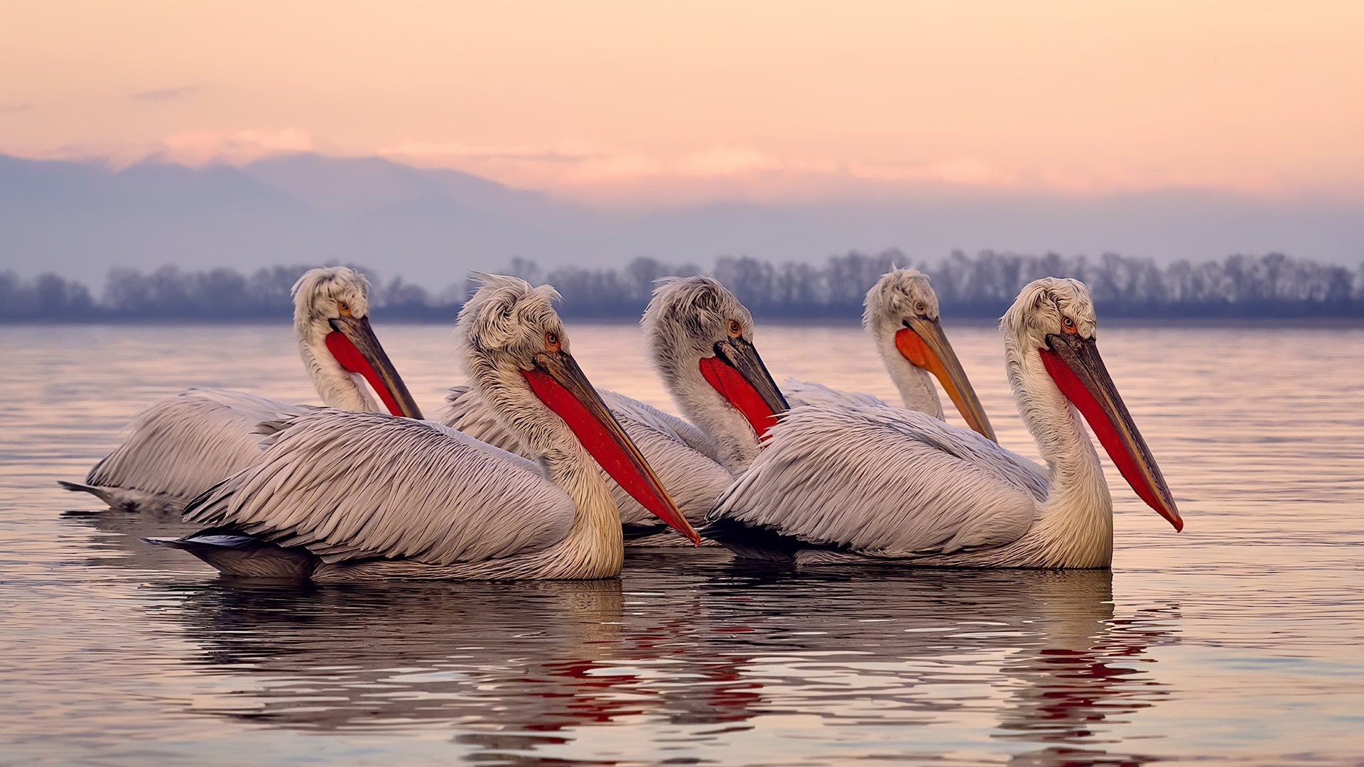 开云下载-西决生死战，开拓者撕裂防线，强势打穿灰熊