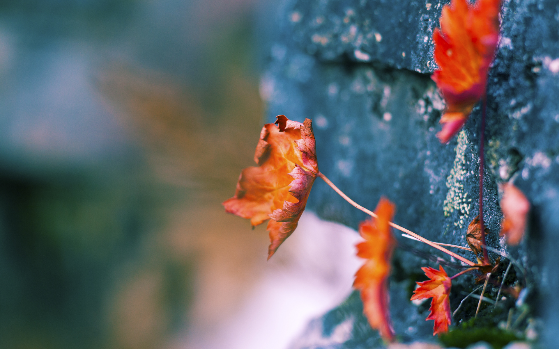 冰与火之歌，新疆队强压爵士背后的季后赛哲学