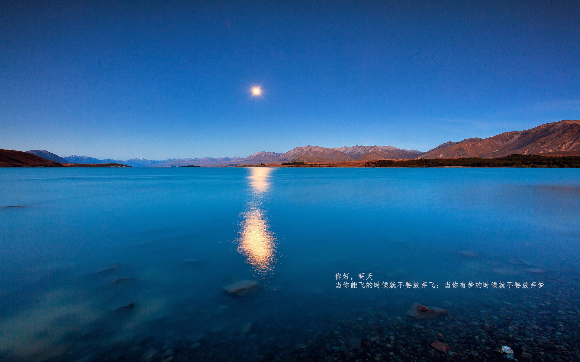 开云APP-孙兴慜的压制级魔法，英格兰对阵智利全纪录