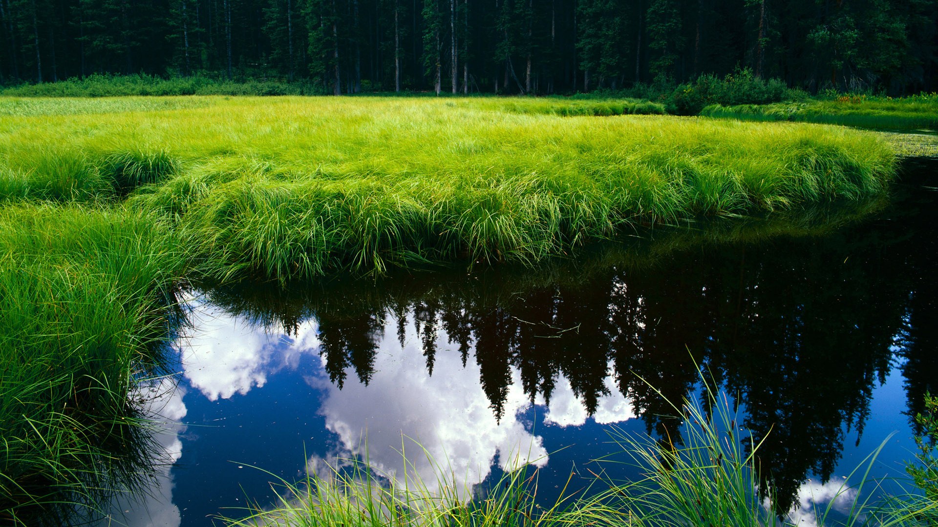 开云官网-超神之夜，当本泽马用灵魂点燃全队，里昂把绝境踩成凯旋之路