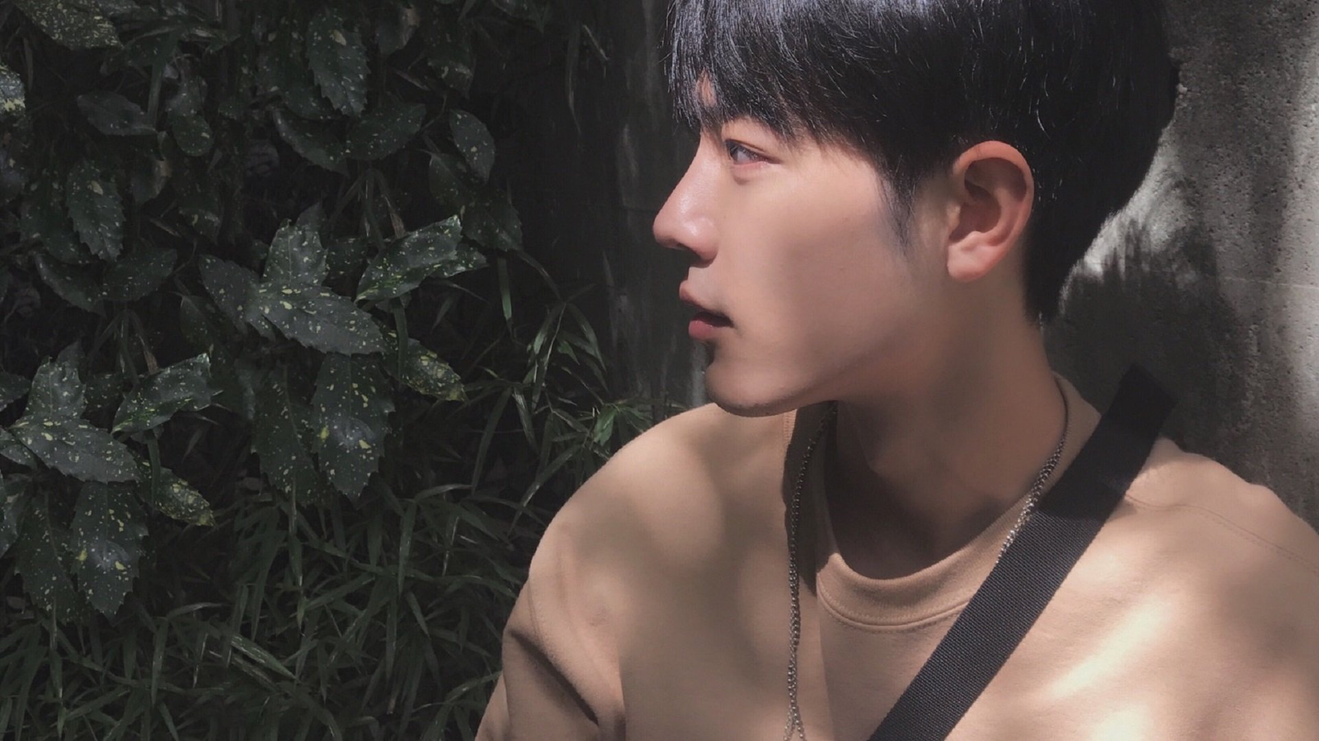 致命三分！利拉德62分史诗夜，撕裂麦迪逊花园的沉默