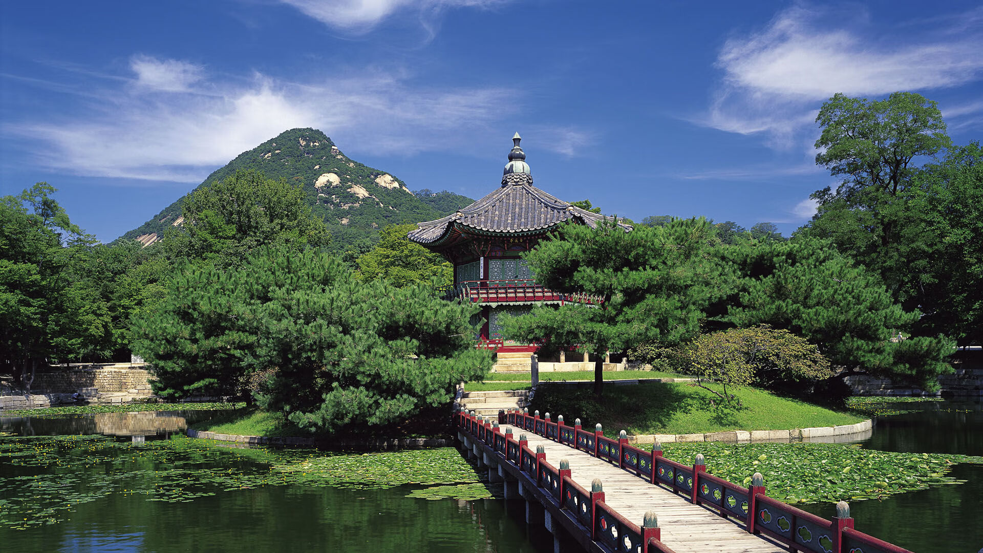 斗牛士军团优雅绞杀,新核加维统治全场,西班牙稳稳拿下卡塔尔的战术密码