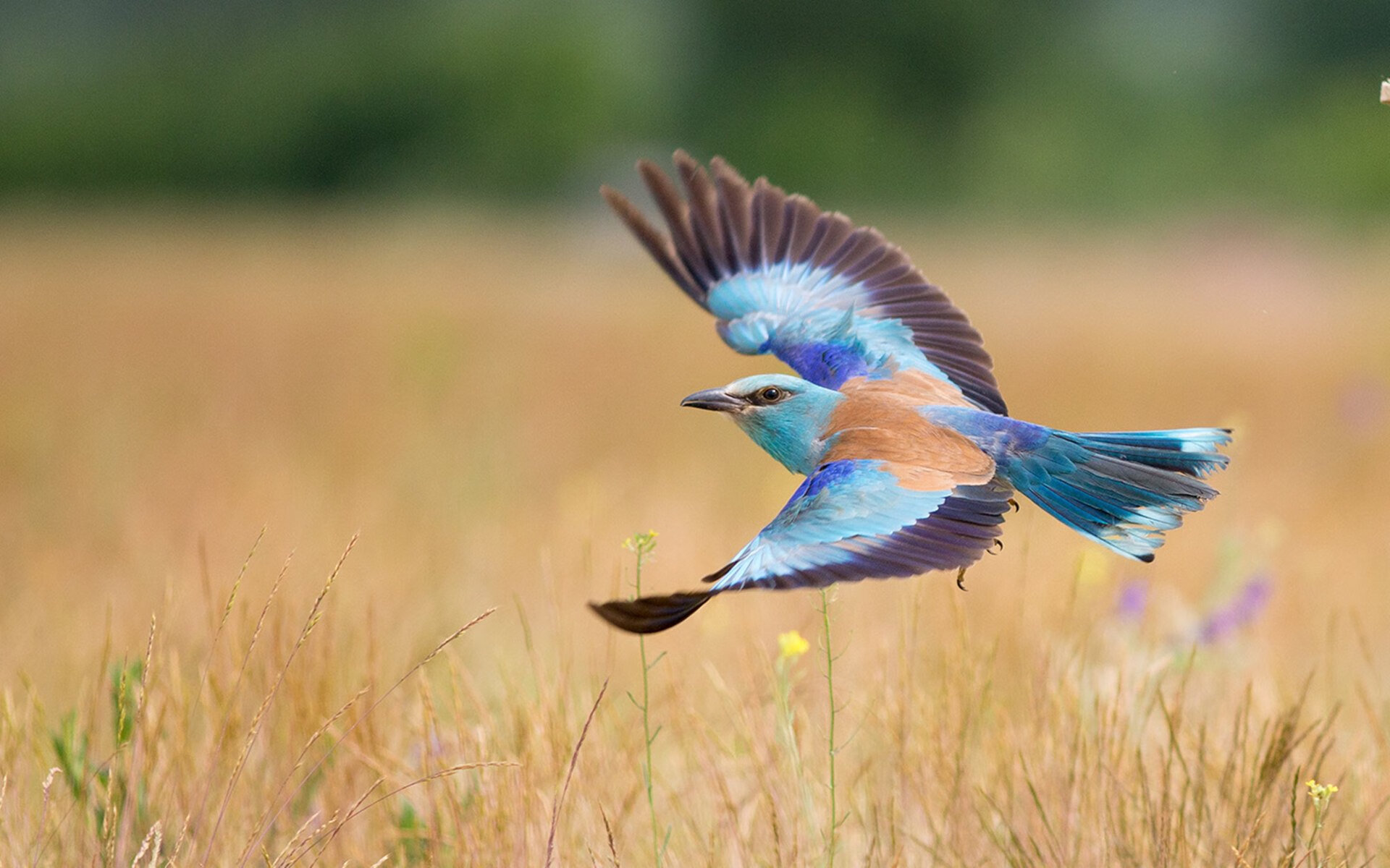 开云体育入口-平行时空里的绿茵逆转，当葡萄牙全明星在欧冠决赛击沉银河战舰