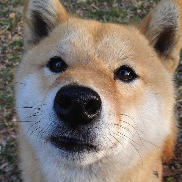 开云体育官方网站-南美风暴席卷北非,委内瑞拉铁血击溃阿尔及利亚,昂首晋级