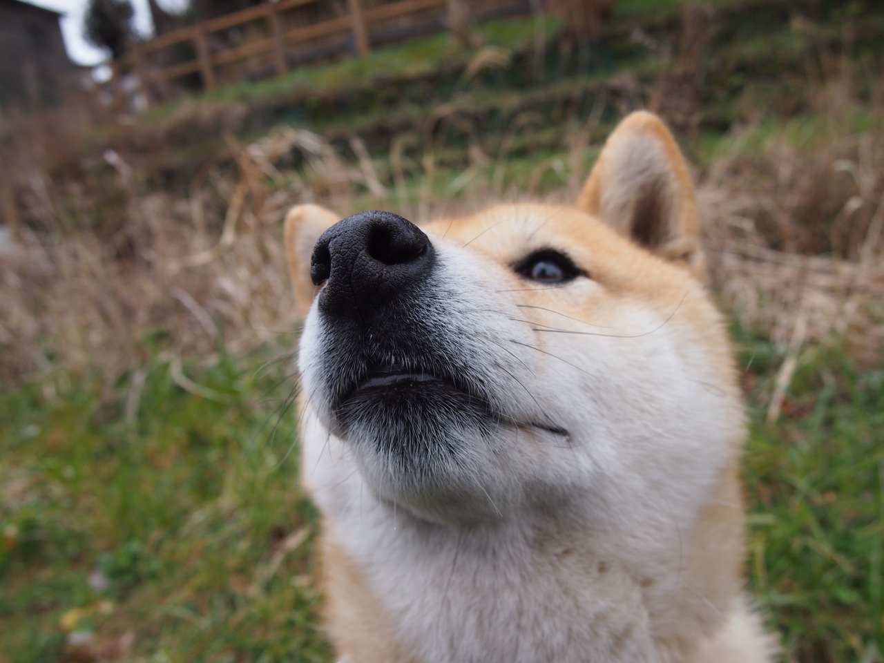 绿茵与硬木的共鸣,西甲国家德比焦点战与雄鹿险胜公牛共绘体育史诗