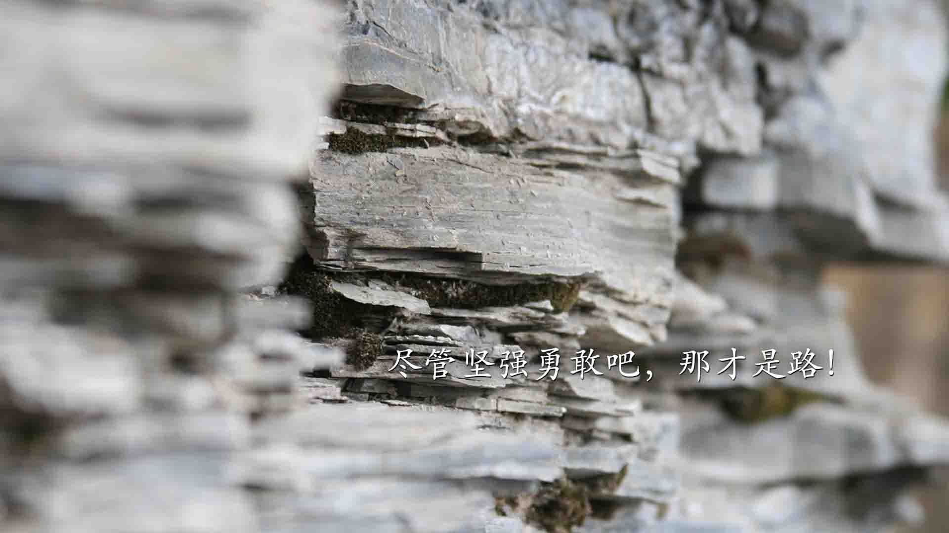 莱万绝境破心魔,巴萨以阿尔及利亚式铁血突围伯纳乌